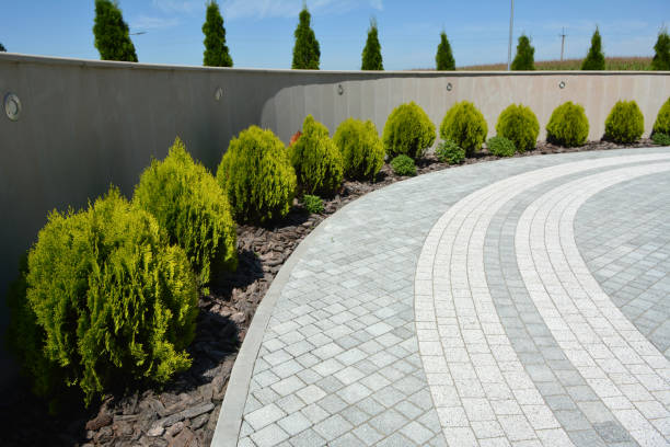 Best Local Driveway Pavers  in Alva, OK